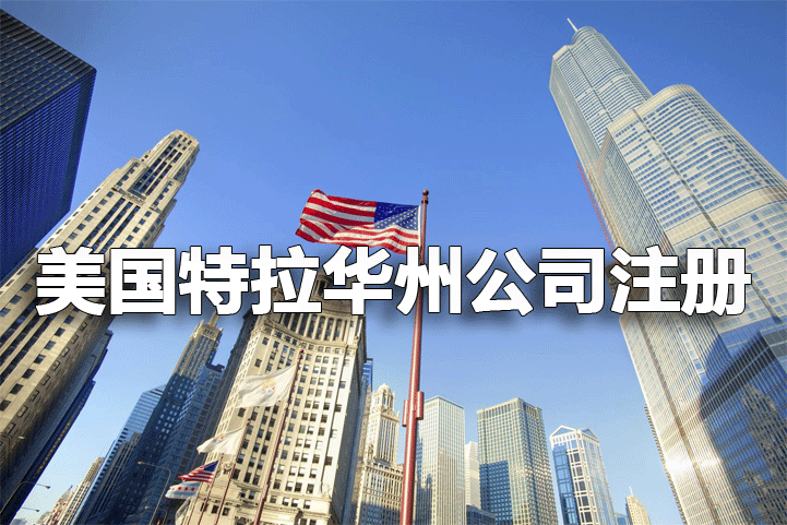 注冊(cè)美國(guó)特拉華州公司重點(diǎn)分析